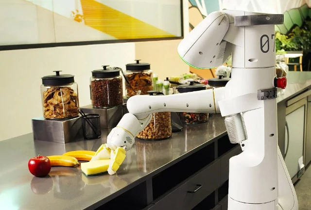 AI robot handles human commands